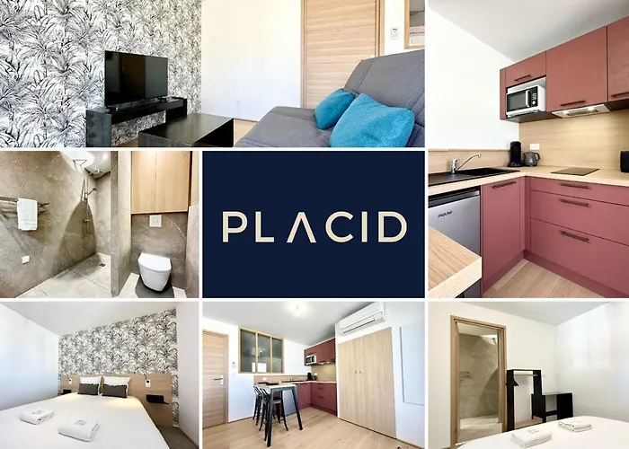 Le Jungle - Neuf - Parking Prive - Hyper Centre *